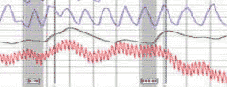 polygraph near the city of Murrieta